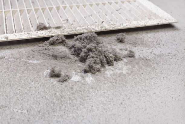 Best Professional Duct Cleaning Services  in Bloomingdale, TN